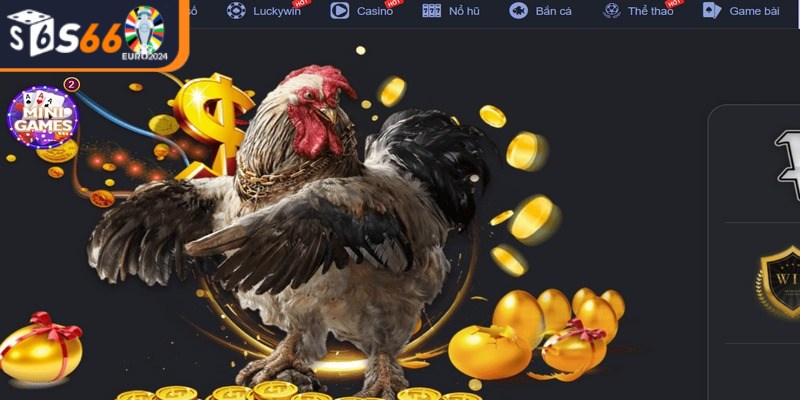 Đá gà S66 đang là một trong những điểm đến hàng đầu của giới cá cược