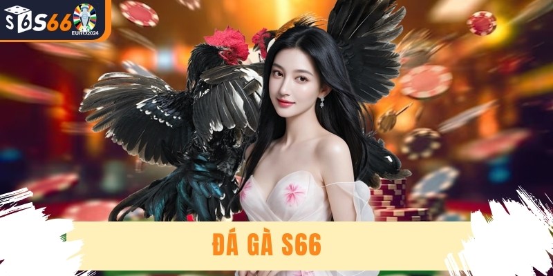 Đá Gà S66 - Trang Cá Cược Uy Tín Nhất Dành Cho Kê Thủ