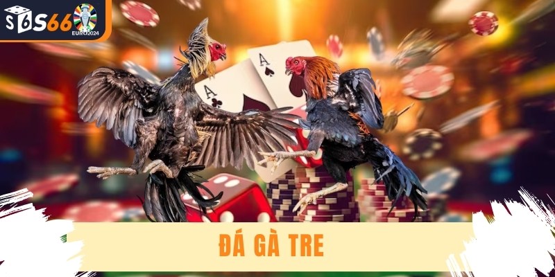 Đá Gà Tre - Trải Nghiệm Đỉnh Cao Cùng Nhà Cái Hàng Đầu