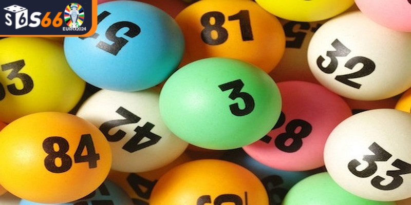 Luôn ưu tiên nuôi dàn đề từ 3 đến 5 ngày để đạt hiệu quả cao